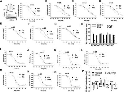 Effects of Antiarrhythmic Drugs on hERG Gating in Human-Induced Pluripotent Stem Cell-Derived Cardiomyocytes From a Patient With Short QT Syndrome Type 1